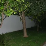 B&B Bouganville